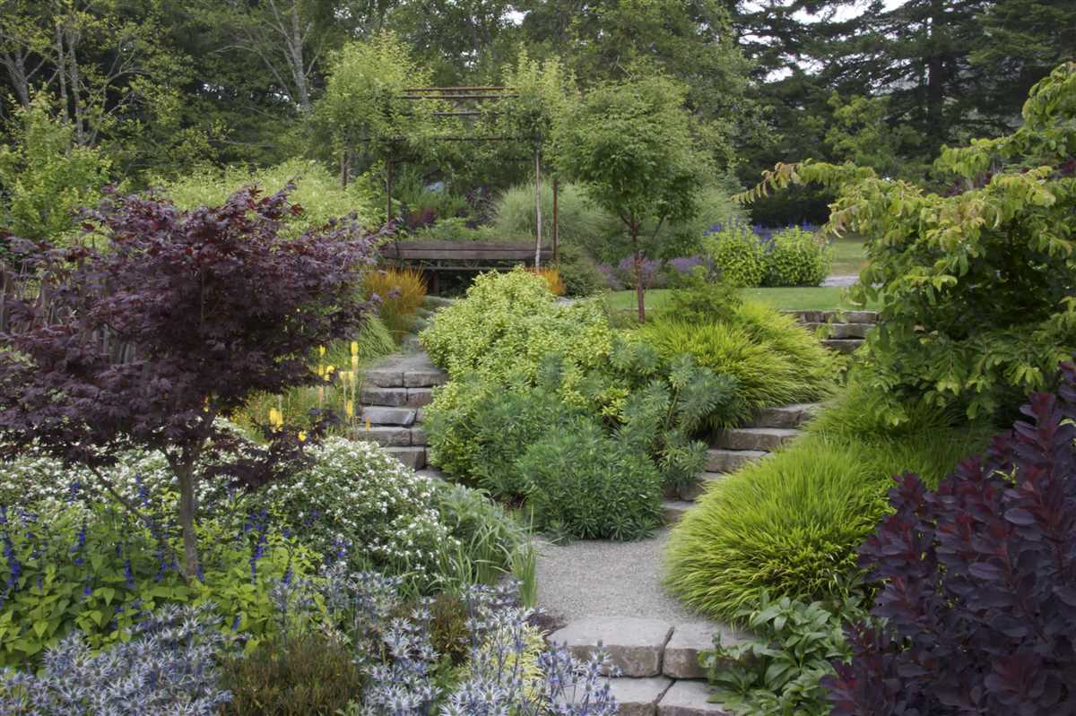 Декоративные садовые растения: как выбрать и использовать для создания красивого ландшафта