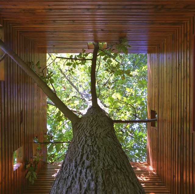 Дерево в интерьере: как использовать его на своем домашнем участке