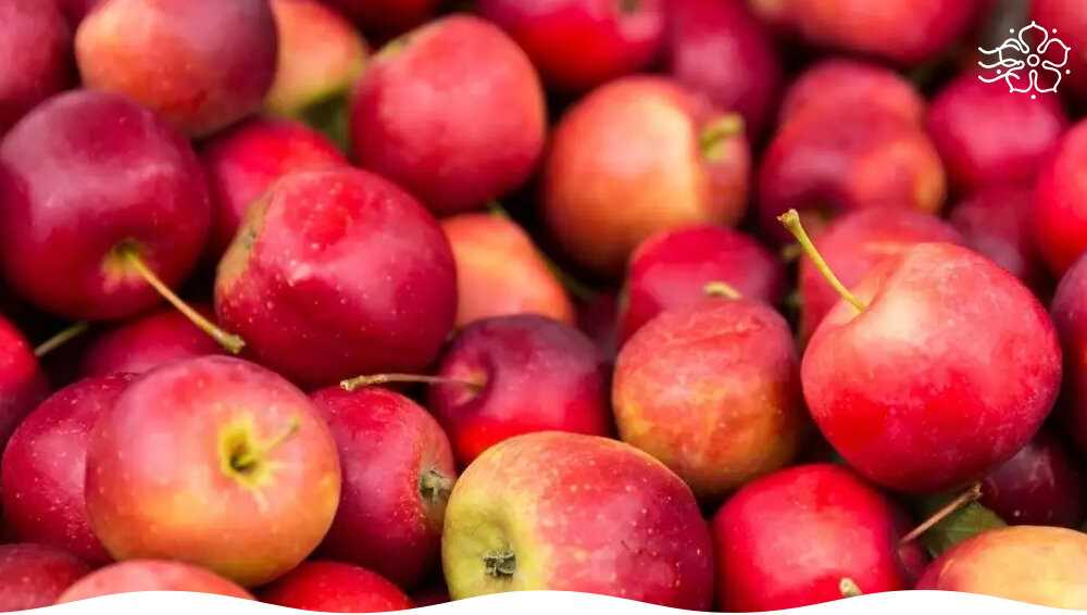 Топ-10 популярных сортов яблонь для выращивания в саду