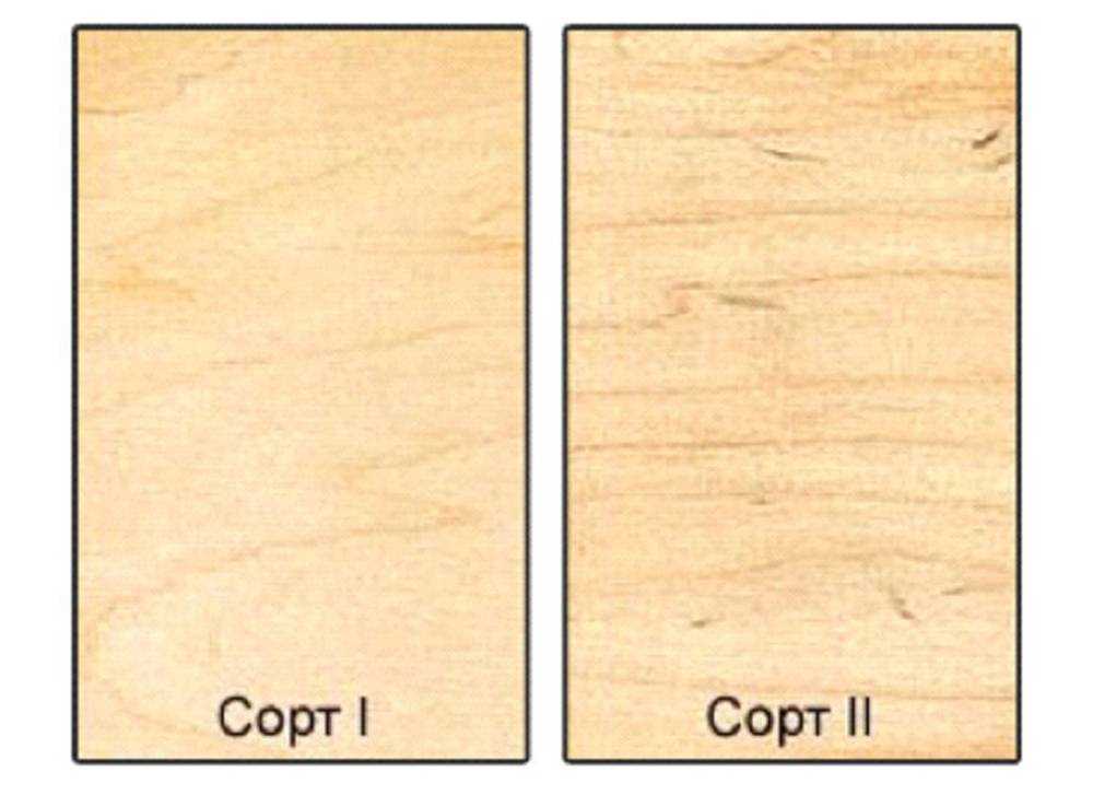Выбираем правильную древесину для строительства вашего дома
