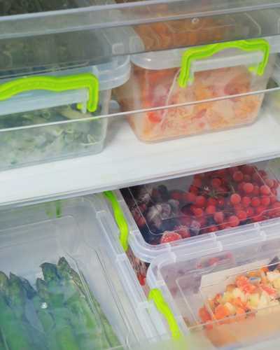 Холодильник или морозильная камера: какое хранилище лучше выбрать