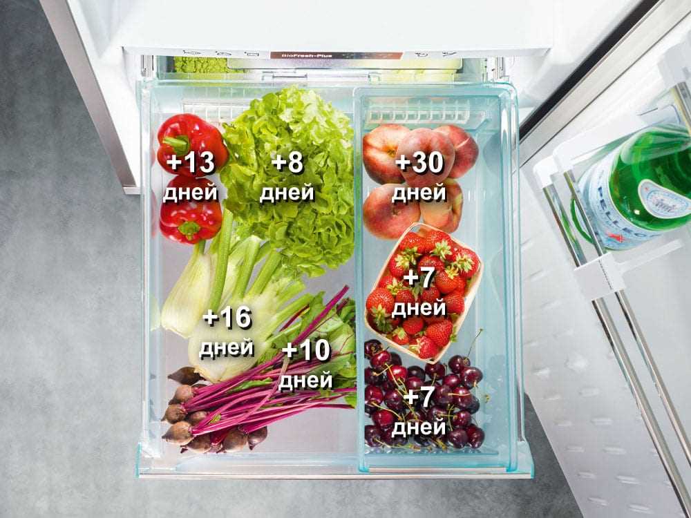 Холодильник или морозильная камера: что лучше для хранения продуктов